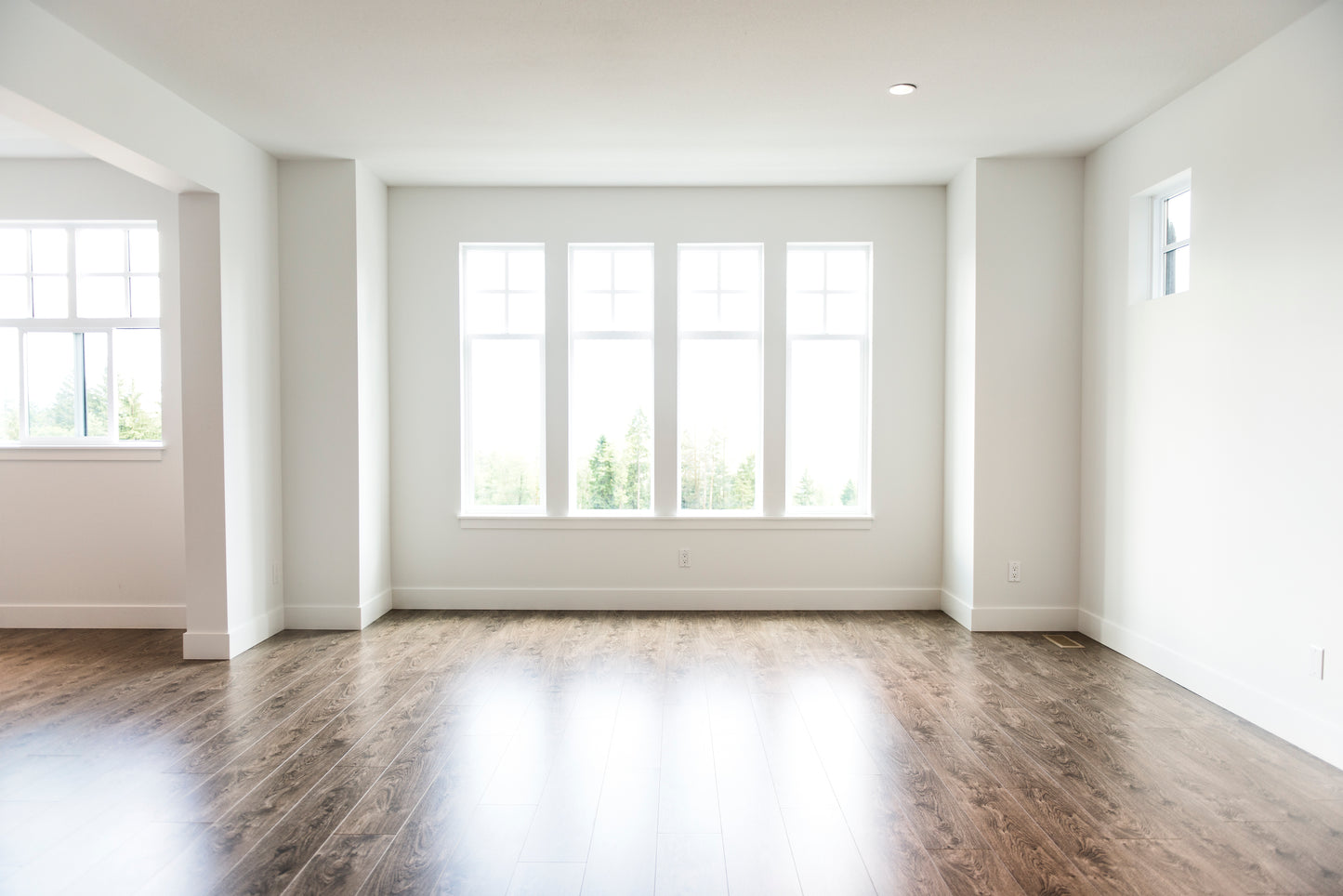 Paint Standard Room